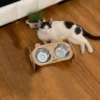 Pet Feeder Double Cat Food Bowl with Anti-Knockover Design – Dog Water Feeding Container & Cat Food Bowl Stand