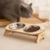 Pet Feeder Double Cat Food Bowl with Anti-Knockover Design – Dog Water Feeding Container & Cat Food Bowl Stand